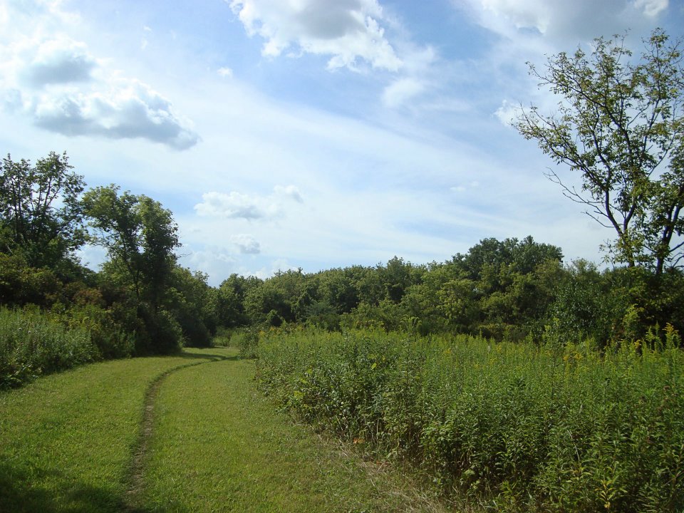 nature path